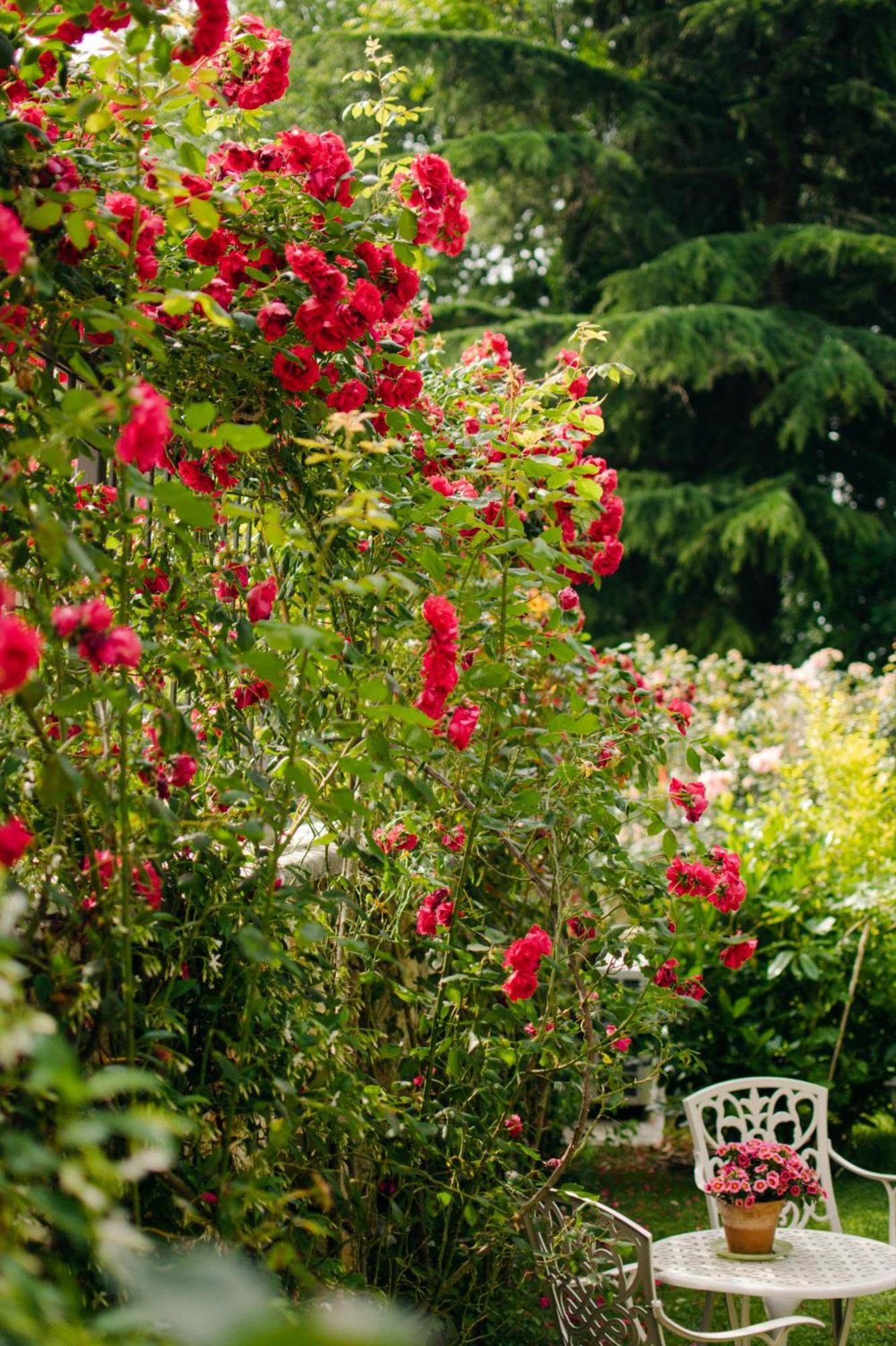 Rama Relais Bed & Breakfast Caprino Veronese Exterior foto